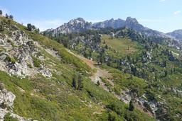 The approach [sat aug 23 09:26:21 mdt 2025]